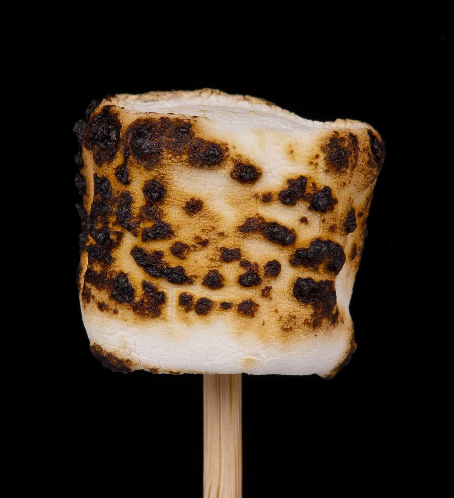 A toasted marshmallow on a wooden stick